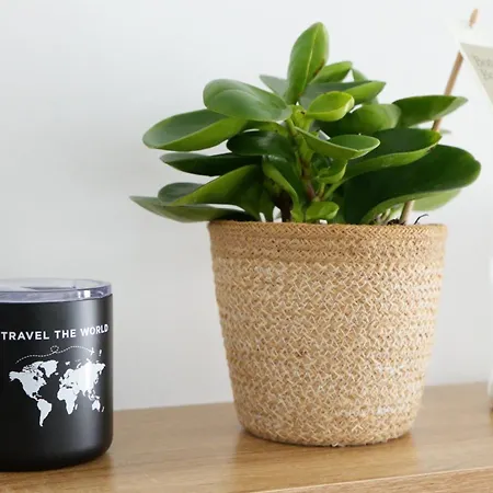 דירה Nomad's Nest - Quiet Flat With Terrace איה נאפה